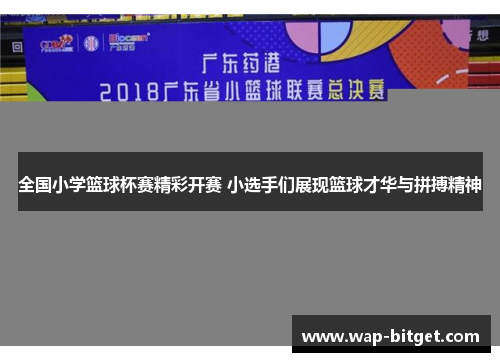 全国小学篮球杯赛精彩开赛 小选手们展现篮球才华与拼搏精神